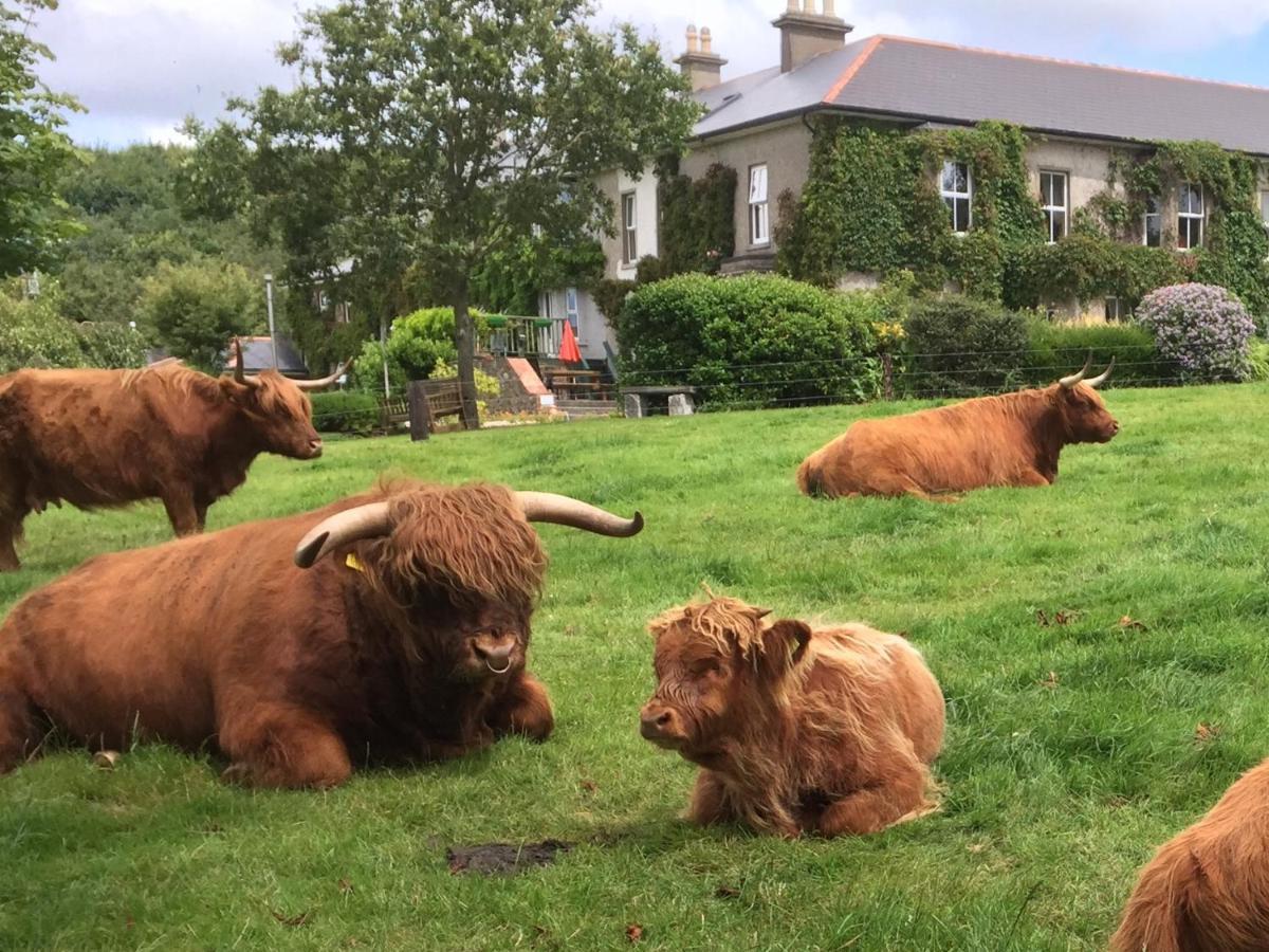 Glendine Country House Wexford Arthurstown Экстерьер фото
