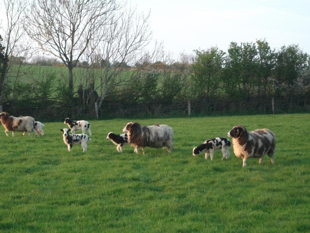 Glendine Country House Wexford Arthurstown Экстерьер фото