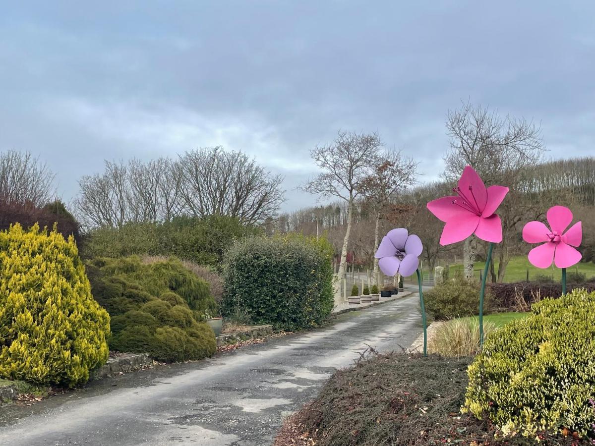 Glendine Country House Wexford Arthurstown Экстерьер фото